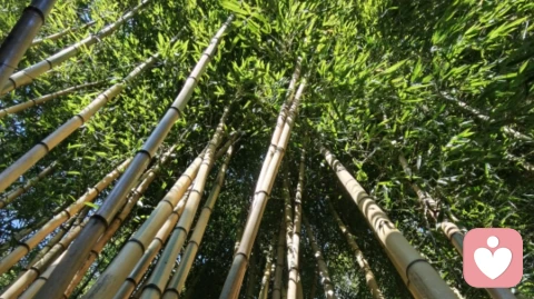 过程完美主义,让你的生活疲惫不堪