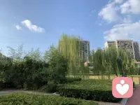 遛弯～😄