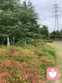 遛弯喽～🥳