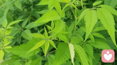 《内耗的根源:总在和已经发生的现实对抗》