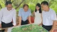 《婚内出轨是常态，这句话，到底是现实还是借口》