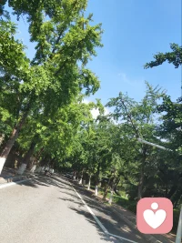 停止精神内耗，不必逼自己时刻坚强
 
很多人习惯把心事压在心底。
白天装作若无其事，到夜晚才被委屈、焦虑、纠结裹挟，反复在心里回想那些难过的过往，不断消耗自己。
 
其实，有负面情绪不是你的错。
不用强迫自己快速想开，也不必要求自己活得无坚不摧。有些心事，不需要硬扛，说出来本身就是一种释放。
 
不必担心被评判，也不怕打扰谁。
如果你心里积攒了太多无处诉说的话，可以来找我，我愿意安静倾听你的所有情绪。