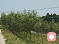 内核稳定的人，热闹也好，清静也罢，都能坦然接纳。
 
安全感从来不是别人给的，而是自己挣来的。
 
身边的人来来去去皆是常态。
有人相伴，就好好珍惜；无人相伴，也可以把日子过得安稳自洽。
 
不依附任何人，不渴求谁的偏爱。
来则欢喜，去则从容，守住自己的节奏，就足够。