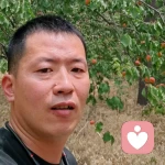 稳的头像