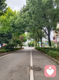 路在脚下向前延伸，生活亦是如此。
不必焦虑终点在哪里，稳住自己的节奏，慢慢走，沿途自有风景🌿
 
 
被浓绿树荫包裹的街道，喧嚣都被隔在两旁。
人也是一样，内心多给自己一些绿荫，就可以消化很多情绪。
 
 
长长的道路望得见远方，却要一步一步去抵达。
允许自己慢下来，接纳当下的状态，往前走就已经很好✨
 
 
阴天，林荫，安静的长路。
很多心结，都是在慢慢前行的路上，悄悄解开的。
 
 
树木静静伫立，道路静静铺展。
不必强迫自己时刻闪闪发光，安稳平和，也是一种力量。