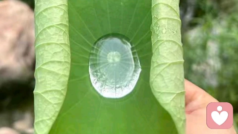 情绪没有对错，难受也不用藏起来。\n不必逼自己立刻释怀，有些心事，说出来就已经是一种释放。\n我在这里认真倾听，陪着你看见内心❤️❤️❤️