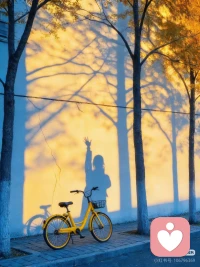 未经审视的生活是不值得过的。