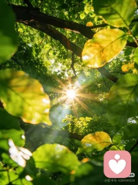 真正的安宁，不在远方，而在你全然接纳的此时此刻。