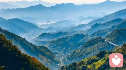 实战经验告诉我：心之所向，往往与天性禀赋相对应。
