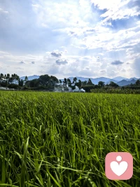 暂时的混沌不需要惊慌失措，我们可以选择在原地停留。光总会从细缝中穿透而来，顺着光线找突破口；总能走出混沌重见光明。
总有乌云盖顶时，但是却不妨碍它剥开云雾见天明。