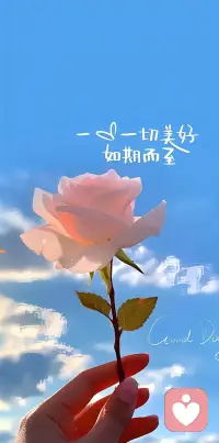 不慌不忙，静待花开；所有所愿，终会按时赴约。