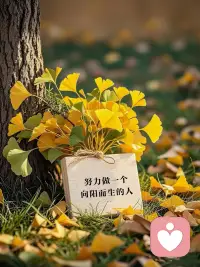 关关难过关关过，前路漫漫亦灿烂。