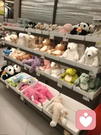 美好生活等着你❤️(◍•ᴗ•◍)