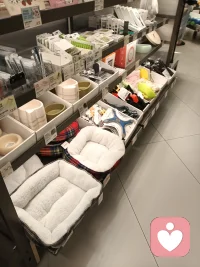 美好生活等着你❤️(◍•ᴗ•◍)