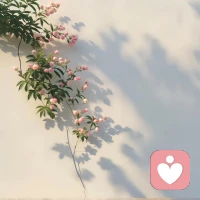 情关之所以难熬，
是触碰原生和依恋创伤。
是因为向外追逐，丢失了本心的安宁。
是因缘酬偿，完成人生的功课。