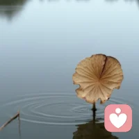 倾听，是世间很温柔的善意！