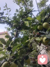 别人的建议仅做参考，把选择权握在自己手里。