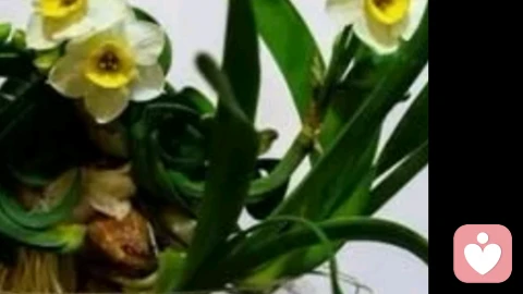 婚恋是治愈