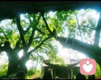 别被外界的评价裹挟。
他人的看法，只是路过的风声，无法丈量你的人生。
见证了太多人困在别人的眼光里痛苦。
向内安顿，释怀杂念，好好善待自己，便是最好的活法。✨