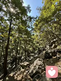 🌈🌈🌈放过别人，就是放过自己，不纠结，不执着，让执念随风去吧。远离烂人烂事，烂情绪。钱没了可以再赚，人看错了可以再找，事做错了，从此改正就好。用经验买教训，做个快乐的散财童子。
～～