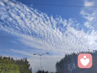 每一个人也都不可避免的扭曲。每一个人也都义无反顾的归元。