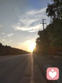 天地，是最好的园丁。
园圃里的庄稼，总长不过野草