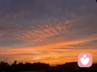 9，开始看书才发现，原来自己懂得都是自己以为的。