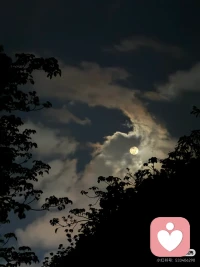 此时此刻，万籁俱寂，夜很沉。