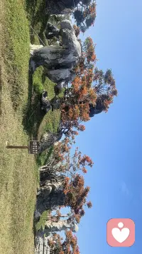 难过就好好释怀，疲惫了就适当停歇。生活不是冲刺赛跑，慢慢来也是一种前行。
那些无人诉说的心事，那些悄悄掉落的眼泪，那些咬牙坚持得日夜，你都不必一个人承受，你都可以和我说说，在这你不用在假装坚强，你可以委屈，可以诉说，可以疲惫没人会说你。