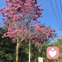 久违的阳光，下了五天的雨人都霉了！看到阳光心情都跟着好起来了！其实人的心情就像这天气有好有坏，这脾气正常规律，不用太在意。