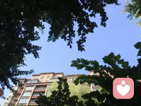 在生活中，
我们只有懂得了看淡和放下，
才能跳脱生活的困境，
不再执着于困扰我们的人和事，
看事情就会更全面、更长远，此时
业障也会随之无我而得以消除。

否则，
就会深陷于那些我执和贪欲中，
被外在的事物困住内心，
凡事从自己的利己角度出发，
看不见他人的优点，慢慢的，
业障会越积越多。

佛说：“智慧就是般若，
明白一切事相叫做智，
了解一切事理叫做慧。 ”

佛法指引我们认识因果，放下执着
从如是因，如是果，回光返照，
不上不下，不左不右，
不垢不净等多方法的角度去看问题
就是增长自己的智慧及修行的过程

忘记是一种境界。人要想
让自己的一生过得快乐和幸福，
就必须学会改变，接受，忘记。

忘记从前，改变能改变的，
接受不能改变的，
忘记过去的一切。

懂得超脱，
因为，只有忘记才可以重新开始。
学会忘记才能够解脱清净，
淡然自在，妙觉圆明。 
                                 感恩