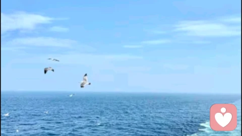 感觉决定命运\n感觉决定命运 \n\n\n\n\n\n感觉决定命运