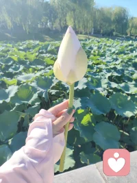 人都有藏在心底，不便对外人言说的一面。不必事事通透，不必时刻坚强。委屈、内耗、挣扎，全部都值得被看见。