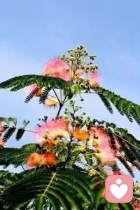 2026.9.4
今天继续分享1+1的人生目标
我选择了身体健康 也许有人再问另外的+1是什么？

答:另外的+1才是认知的体现

等我们追求到了想要的人生 有没有想过我们下一步该做点什么...难道是享受生活？或者说是做自己喜欢做的事...打开我们的眼界到底要怎么样才好...
要不要静下心来思考一下生命的意义...

同样是人...为什么有着不同的人生轨迹...为什么有的人高高在上有的人穷途末路四处流浪...

也许有人再说？不够努力...也许有人再说运气不够好...那在你的眼里到底是为什么？

今天就分享到这里...明天继续...