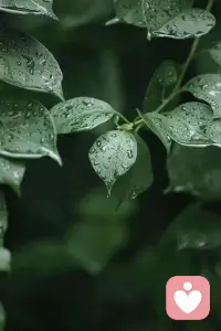 2026.9.5
大家好,今天继续分享.....
为什么会出现这种情况...明明同样的人生却有着不同的命运...这所有的一切都和我们的心❤️有关系...
这里不能绕开的一个人,那就是我们的阳明先生...有兴趣的同学可以去研究一下阳明先生的心学...
致良知,源自于起心动念,知行合一～这是人之根本国之根基...
也就是说:我们每个人从出生的那一刻就有了三种不同的阶段需要经历...也就有了三种不同的人生...当然如果达不到你所经历的境界,或者说第一个阶段你都没有真正的经历...那我想说:这辈子的人生就是来受轮回之苦的...

我们先说第一张人生阶段...这里我声明一下:纯粹个人观点无任何不良引导！
等我们来到这个世界...等我们哇哇落地到有了自我意识...在这个阶段我称它为: 本我 ...
等我们慢慢有了自我意识...等我们按照自我意识去走自己的路的时候...我把这个阶段称为:自我...
等我们有了大爱...有了光...有了付出不求回报...有了感恩之心...有了怜悯之心...有了对宇宙的敬畏...我把这个阶段成为:超我...
 
因为时间关系...今天早上就分享到这里...明天继续...
有兴趣的小伙伴可以讨论一下...我们自己目前处在一个什么样样的人生阶段...