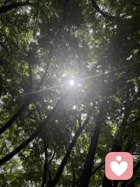 有些情绪没办法说清楚，
不必找人评判对错，安静安放就好。
好好拥抱那个疲惫的自己。