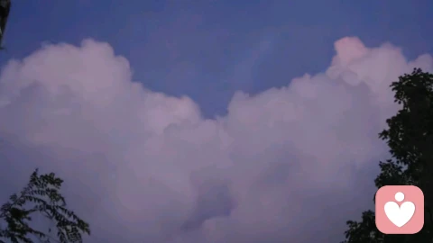 人生最大的治愈，是发现生命中的小确幸