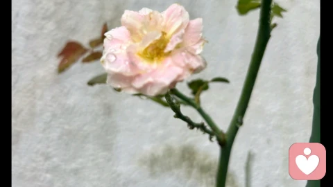 随笔