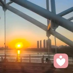 暮色小鲸🌻的头像