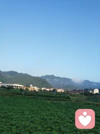 接纳父母、接纳孩子、接纳自己联系在一起，仿佛看到一条内在的“投射与和解之路。心理学中常说，我们对他人的不满，常常是我们对自己某个特质的抗拒:而当我们愿意承认父母的生活状态、孩子的平凡，以及自己的不完美，其实是在松绑内在那些严苛的要求。
接纳不是放弃改变，而是不再和自己撕扯。就像你允许裂缝存在时，光才有机会照进来这种接纳也许带着一点哀伤，但更多是自由。