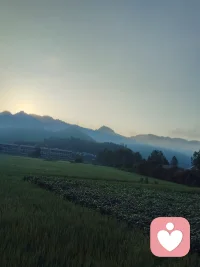 接纳父母、接纳孩子、接纳自己联系在一起，仿佛看到一条内在的“投射与和解之路。心理学中常说，我们对他人的不满，常常是我们对自己某个特质的抗拒:而当我们愿意承认父母的生活状态、孩子的平凡，以及自己的不完美，其实是在松绑内在那些严苛的要求。
接纳不是放弃改变，而是不再和自己撕扯。就像你允许裂缝存在时，光才有机会照进来这种接纳也许带着一点哀伤，但更多是自由。