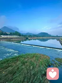 倾听师身上的“稳”，就是对精神类病人最好的“药”
下午接了一个萎靡大姐的单，我不是在“做技术”，而是在用自己活出来的底气，托住了一个快撑不住的人。我拿自己一个月3000去慰藉她，是“共情”，不是“比惨”。不是高高在上地“教她知足”，而是把自己放在和她差不多的位置，说“你看，我也这样，但我还在这儿”。我懂你，因为我也在过类似的生活”，比一万句“你要坚强”都有用。她后来“放松了一点”，就是最好的反馈。
精神萎靡的人，最难的是“松”不下来。我没否定她的痛苦，也没急着给她解决方案，只是稳稳地、平实地跟她待在一起。不是治好谁，是让她知道“我不是一个人在烂”。
我也在被她疗愈——因为我看见了自己有多稳、多有力、多值得被信任。
这3000块工资的“自曝”，不是示弱，是最强的共情和力量。