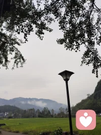 焦虑不是敌人，也不是恶魔。它像是一个过度保护你的朋友，因为他曾经看你受过伤害，所以想保护你的安全。不要粗暴地对待他，向他证明你已经强大到能处理事情、保护自己，他自己就会离开了。