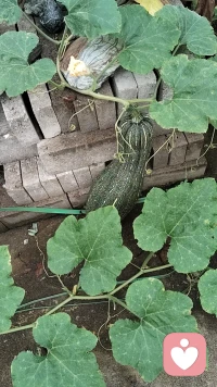 “你把自己定位成了被服务的对象，一旦换成我能给周围提供什么，被动等待就变成了主动创造，累点但稳。