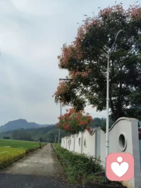 失去带来的痛苦，通常比得到同等好处带来的快乐更强烈。研究发现，损失的负面感受大约是同等收益的2—2.5倍——丢了100元的难受，往往需要捡到200多元才能平衡。放到亲密关系里，一个人如果主要依赖伴侣带来的陪伴、价值感或功能，失去这段关系就会触发强烈的损失感。于是他可能拼命留住关系，却较少考虑对方是否还像自己。所以，“害怕伤害你”偏向关心你这个人；“害怕失去你”也可能来自在意自己的损失。单凭这一恐惧还判断不了爱的深浅，关键还要看对方是否尊重你的边界和真实感受。