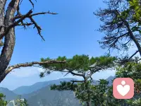 家不是讲道理的地方，家是讲爱的地方。

放下道理，心才能融合。