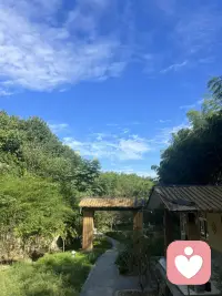 看到别人，渡化自己。