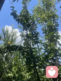 情绪不需要被克制，只需要被看见。我做你的专属倾听者，治愈所有不开心。