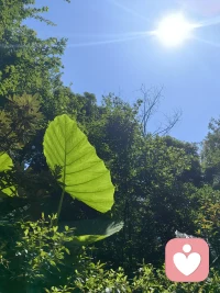 喜欢的最高境界是拥有，
拥有的最高境界是配得上。