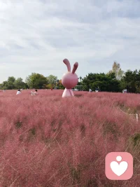 今日份快乐，
是世博园给的✨
风遇草木，
人赴美景，
尽兴而归